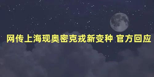 网传上海现奥密克戎新变种 官方回应